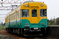 かぼちゃ君~♪