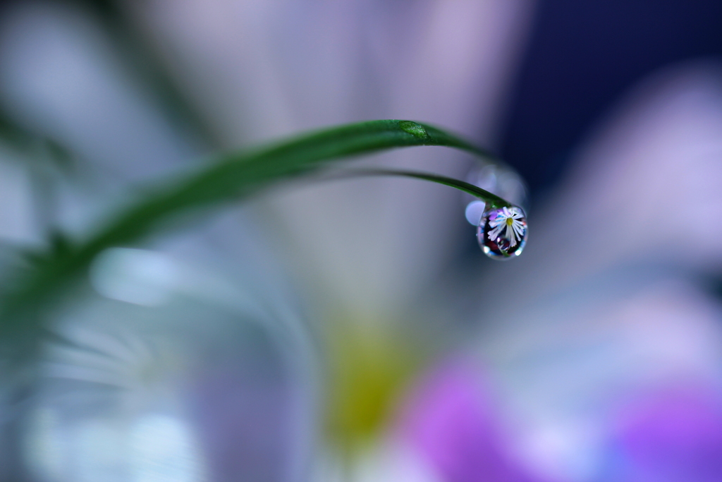 雫