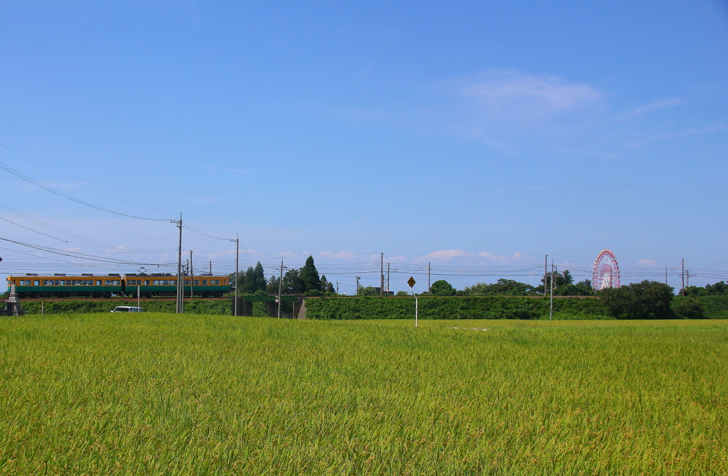 観覧車が気に入った鉄子