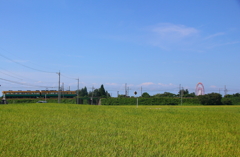 観覧車が気に入った鉄子