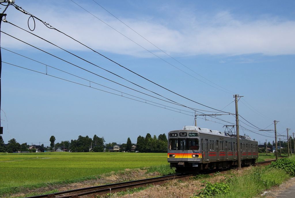 ステン君、山に向かう～♪
