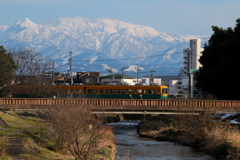 かぼちゃ君～♪