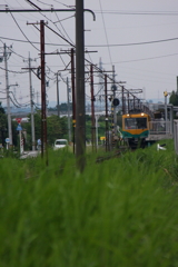 来たよ、来た来た~電車へ心が弾む♪