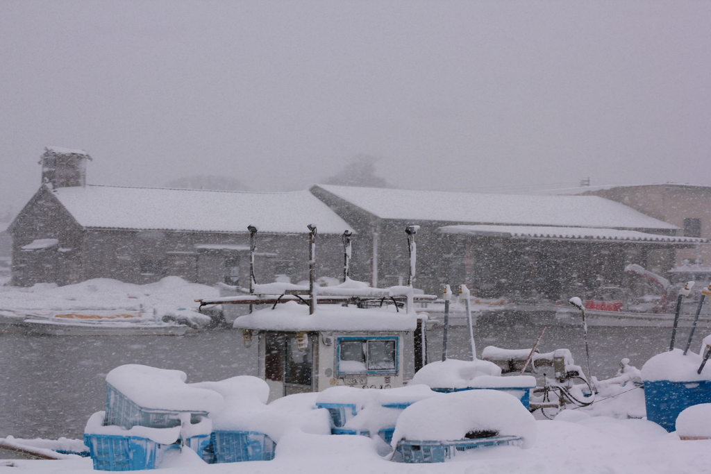 降りしきる雪