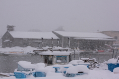 降りしきる雪