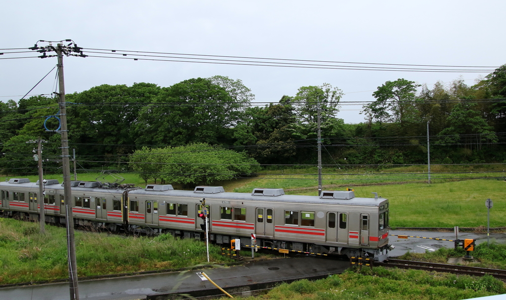 雨の日のステン君～♪　2