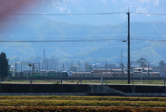 あいの風と、地鉄の電車が揃って並んだよ♪