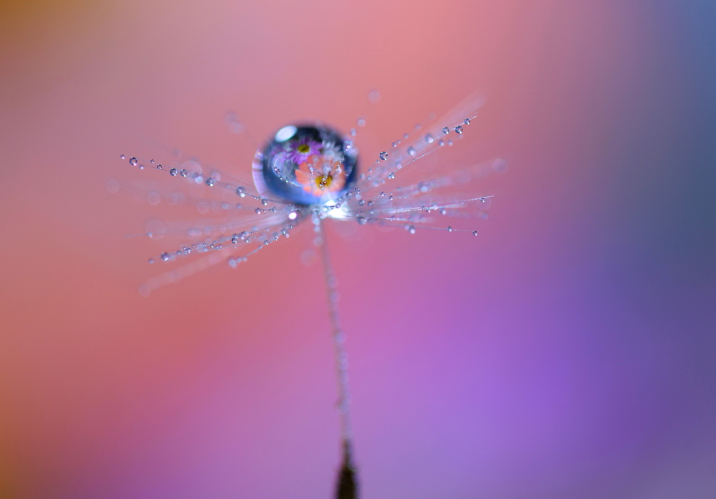 ＤＲＯＰＳ・・・時の流れに身をまかせ～♪