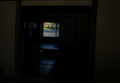光