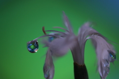 雫　ギャラリー作りました。