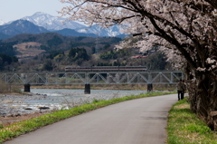 桜～ワイドビューひだ