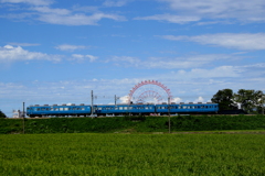 ブルー君と観覧車~♪