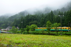 山の中のすれ違い～♪　ダイコン君とかぼちゃ君