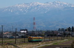 かぼちゃ君～♪