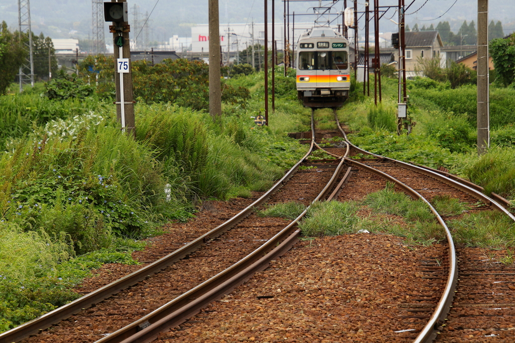 どっちの線路に行くのかな？