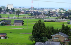 ガッタンゴットン走ります～♪ダイコン君