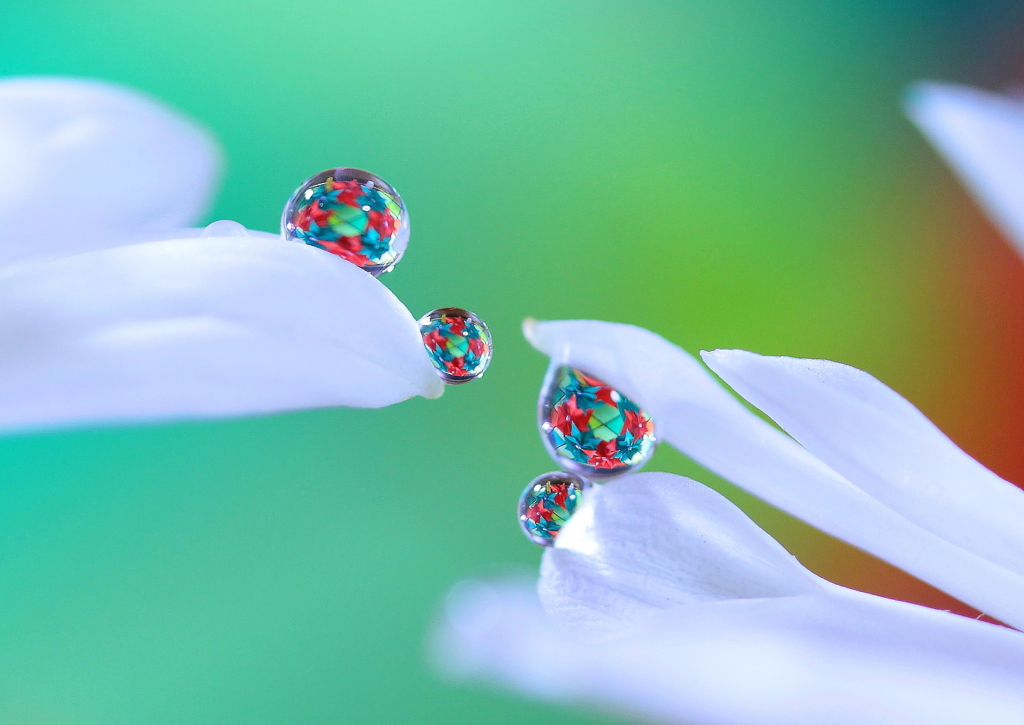 心海ｄｒｏｐｓ