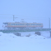 吹雪の中、頑張るアルペン号~♪