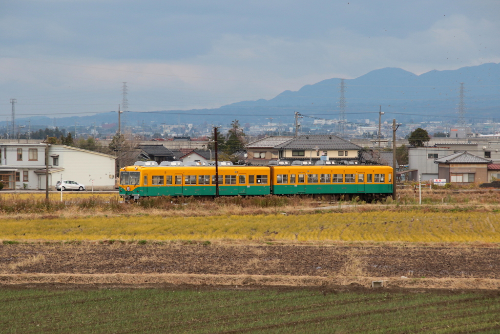 かぼちゃ君～♪　(^^)/