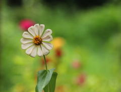 わたしを呼ぶのは誰～？