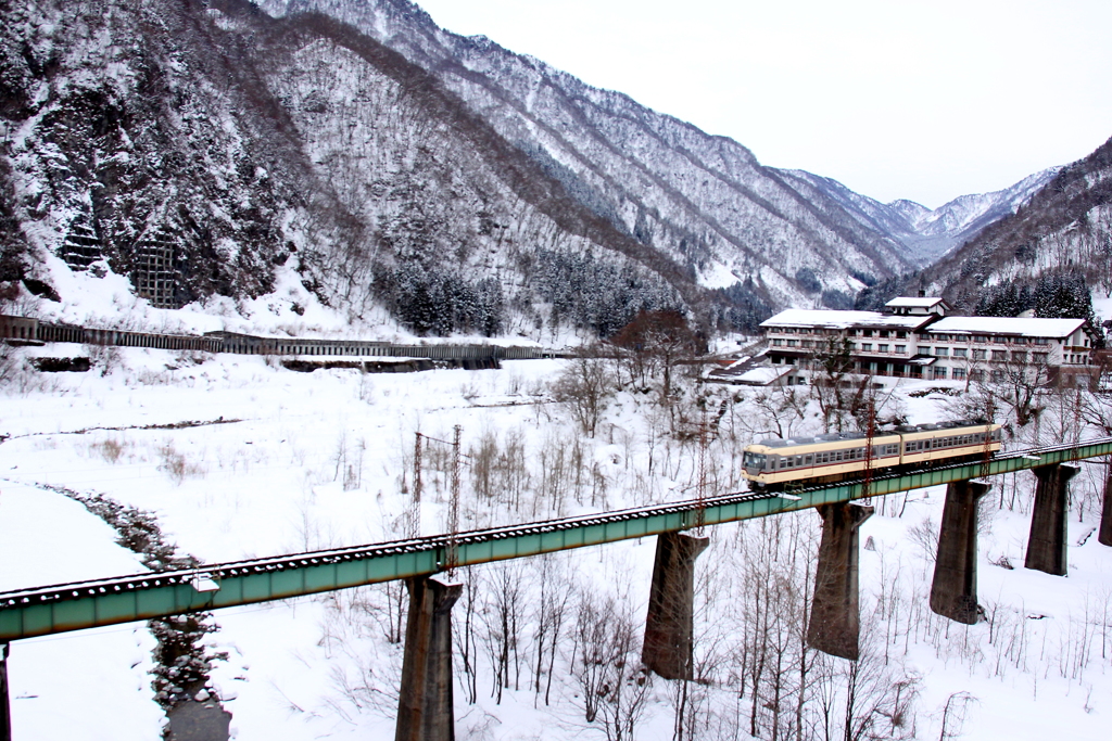 ダイコン君の旅は続く～折り返します