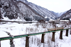 ダイコン君の旅は続く～折り返します
