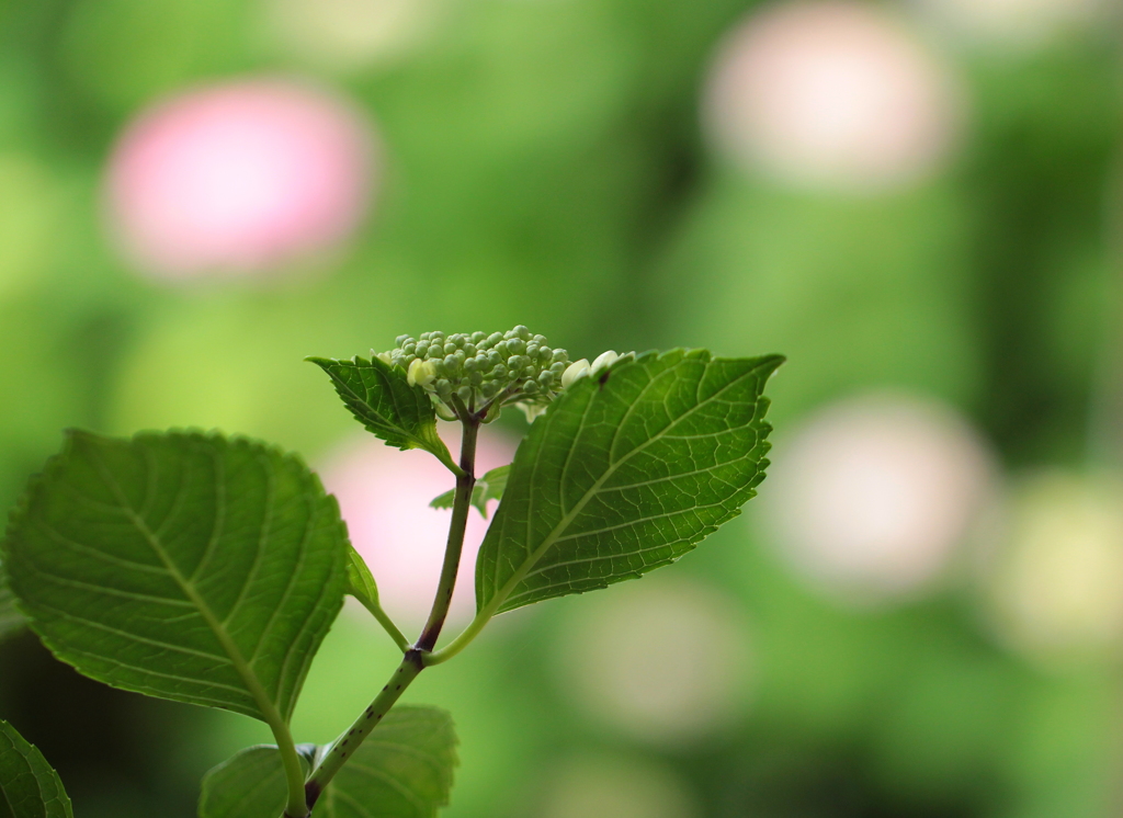 もう少し・・・・