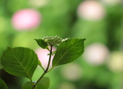 もう少し・・・・