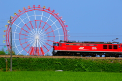 観覧車とレッドサンダー君～♪