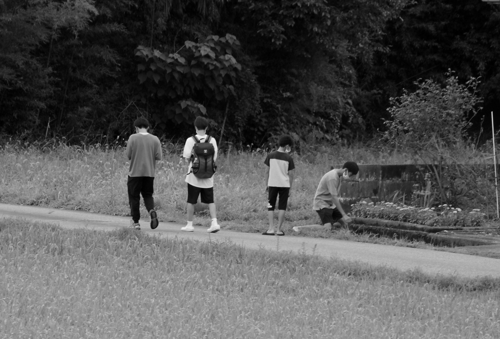 少年時代