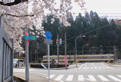 桜前線通過中～♪