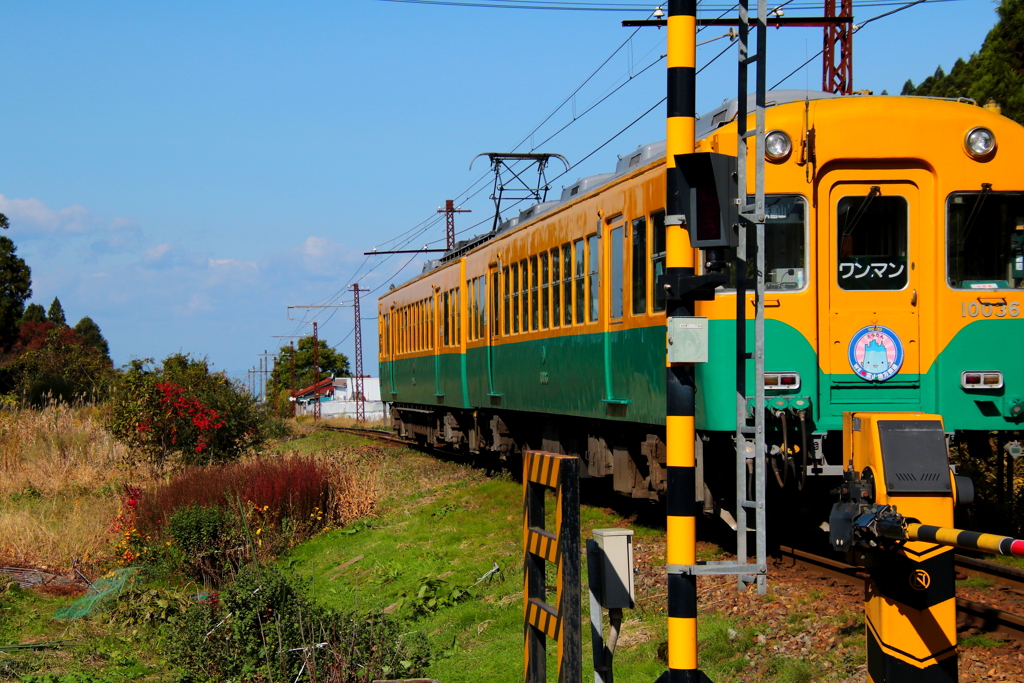 かぼちゃ君～通過します^^♪