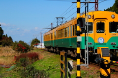 かぼちゃ君～通過します^^♪