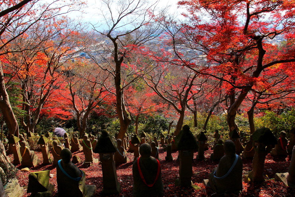 羅漢さんの背中（願いと祈り）