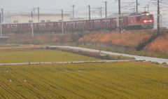 雨の日のレッドサンダー君
