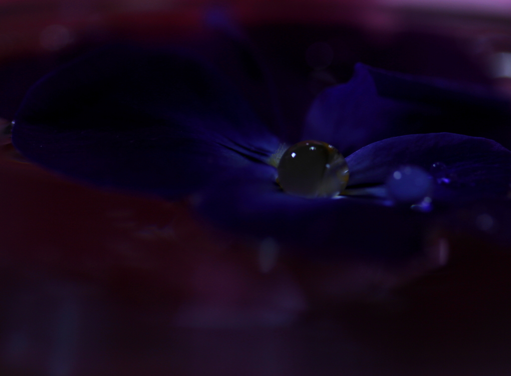 心海ＤＲＯＰＳ　88