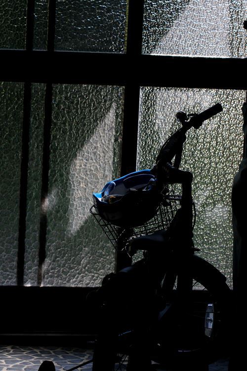 待機（Ⅰ）　走りたい・・・待ち遠しい・・・・。