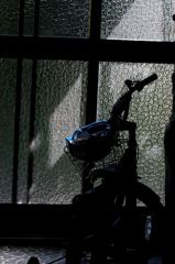 待機（Ⅰ）　走りたい・・・待ち遠しい・・・・。