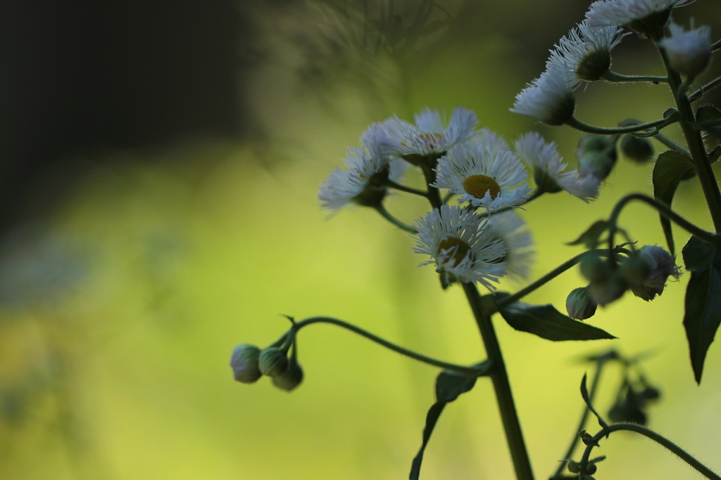え！なんですって☆井戸端会議