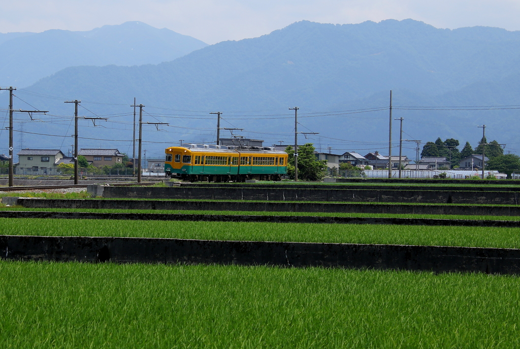 季節は初夏へと・・・