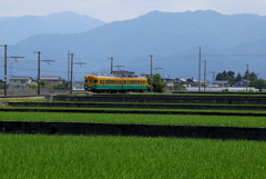 季節は初夏へと・・・