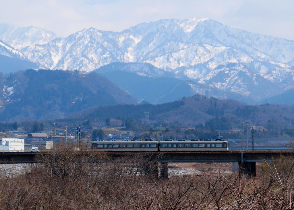 ロックオン！　ダイコン君～♪