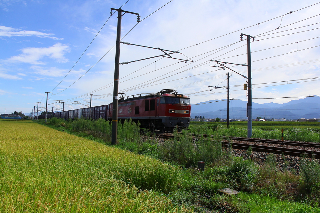 レッドサンダーが走る～♪