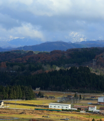 かぼちゃ君～！