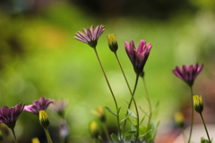 それぞれが主人公