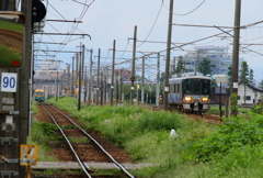 あいの風&かぼちゃ君