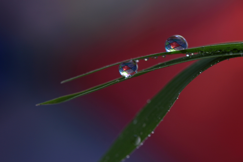 忘れない日々・・・