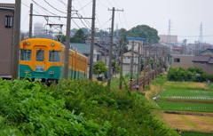 坂道もまた好き！