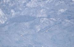 雪山の舞い