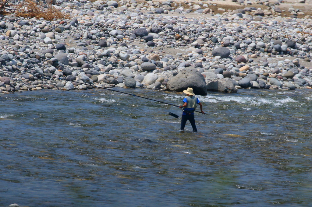 鮎釣り